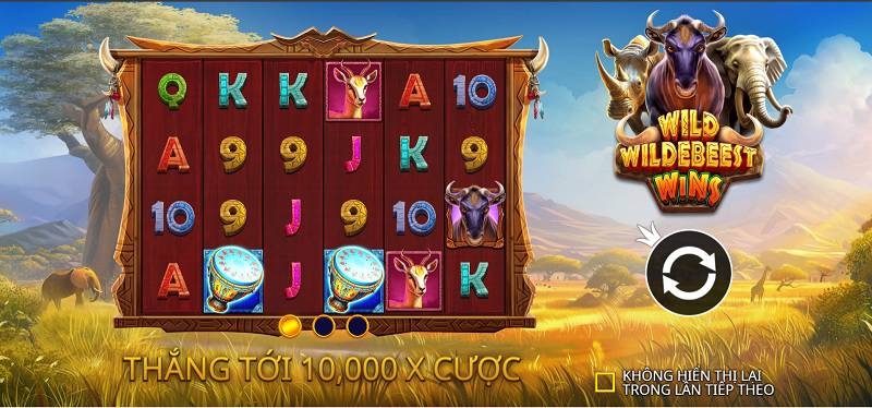 Tổng quan game Wild Wildebeest Wins tại Kubet